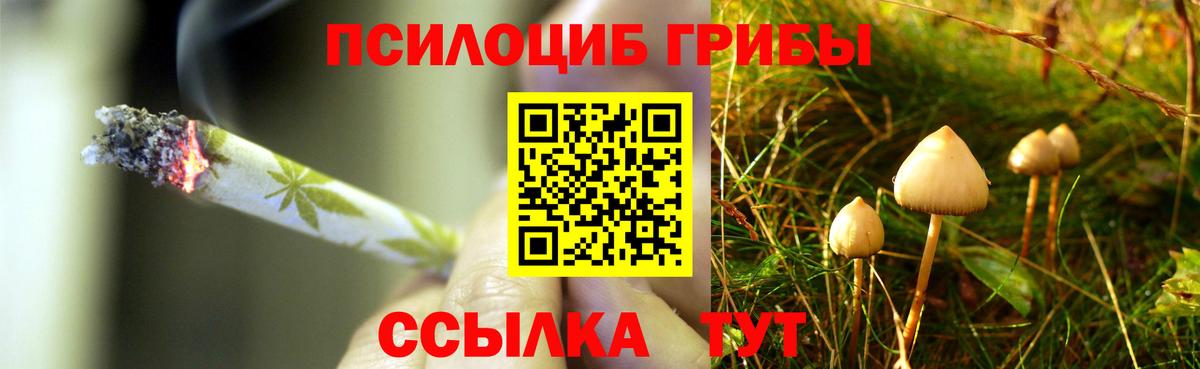 Артём  Псилоцибиновые грибы MAGIC MUSHROOMS  Вход с VPN 