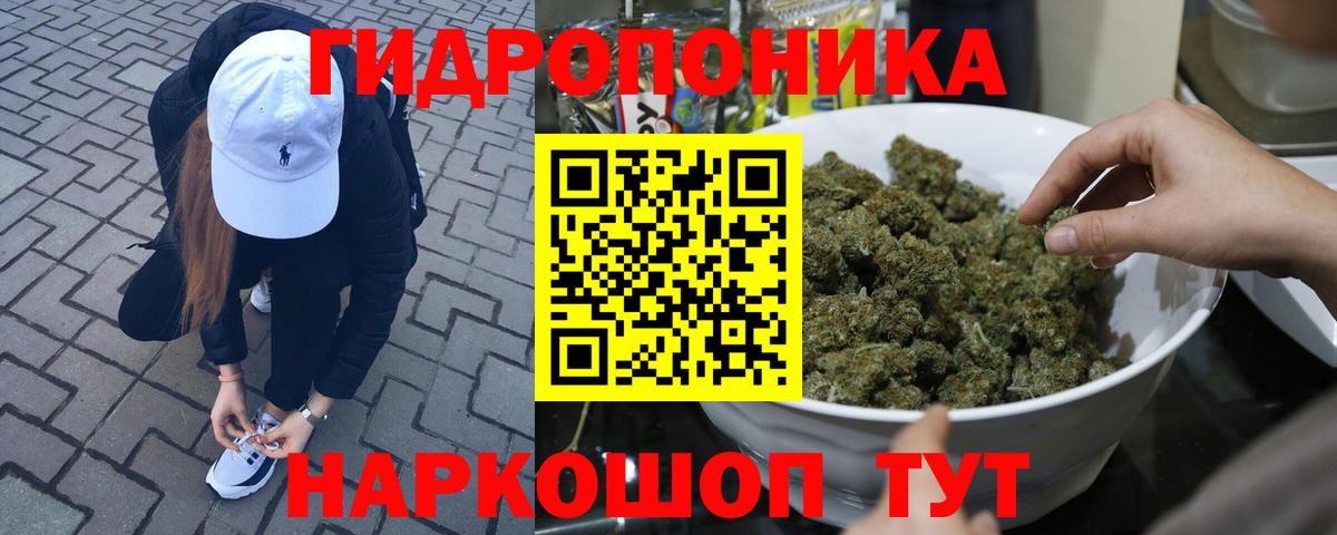 Каннабис ГИДРОПОН Артём